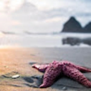 Meet your Posher, Aubree